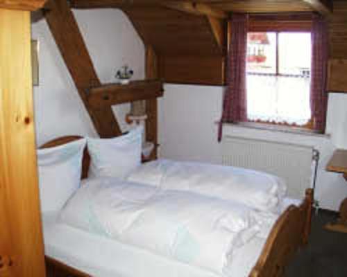Hotel Restaurant Schrotmuehle Scheinfeld Екстериор снимка